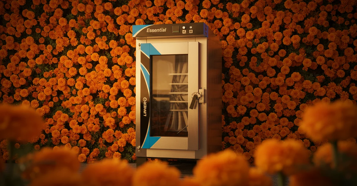 Horno de convección LINHER Essential integrado en un muro denso de flores de cempasúchil; pétalos rodean y se superponen sutilmente al borde del horno. Luz cálida dorada realza el acero inoxidable y los naranjas de las flores. Sin textos ni otros elementos, estilo editorial elegante de Día de Muertos.